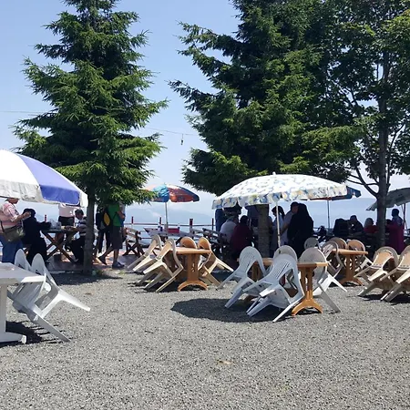 Yesilyurt Dag Tesisi Dağ evi *
